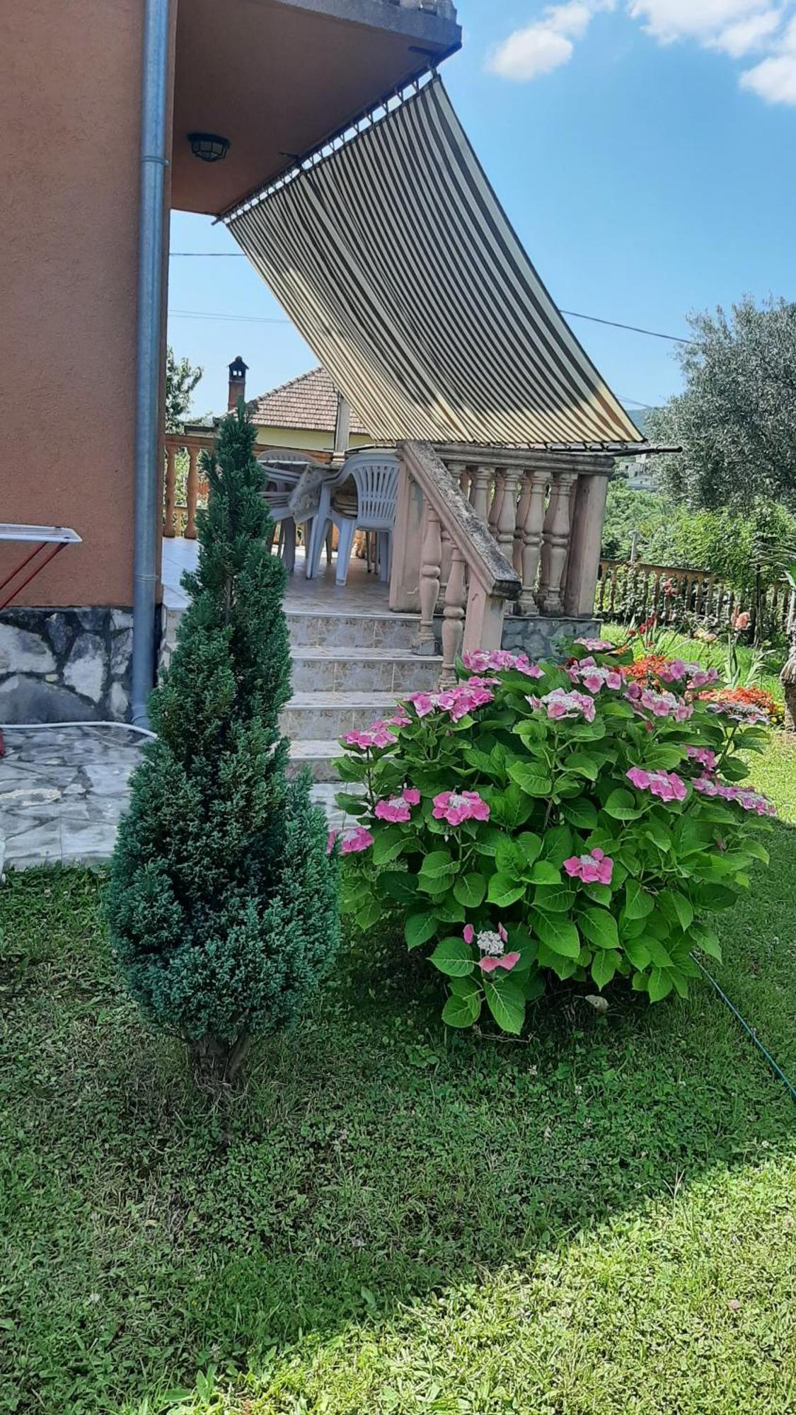 Apartmani "Dukic" Pelinovo Room photo